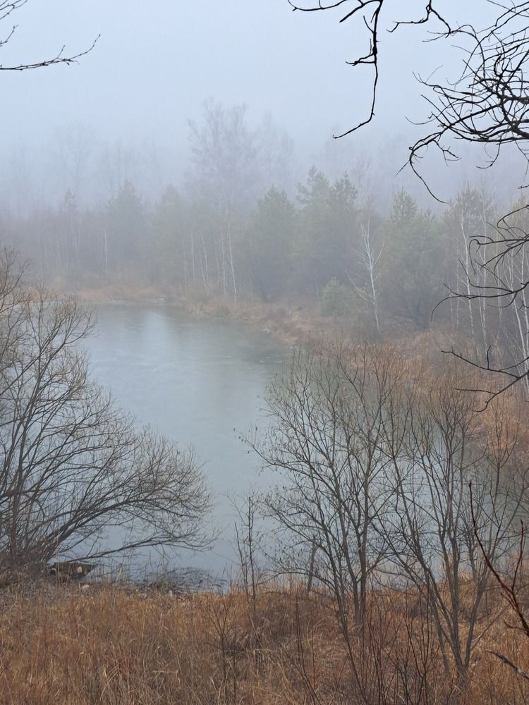 Photograph by Любовь Войтишина