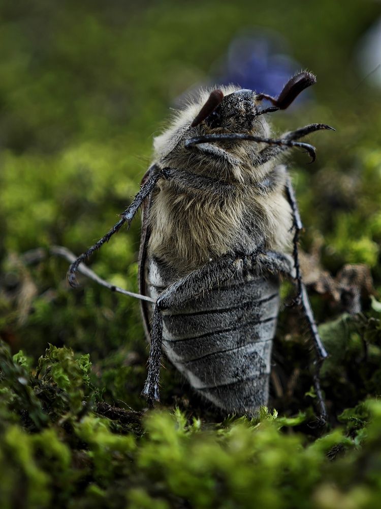 Photograph by Тамара Нижельская