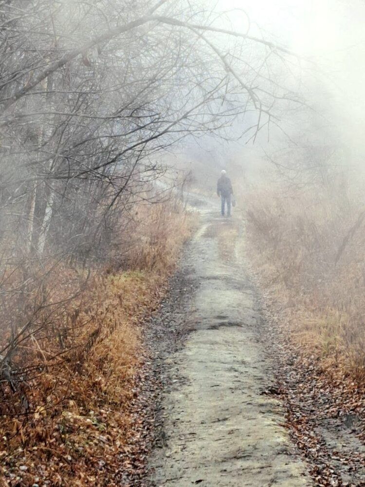 Photograph by Любовь Войтишина