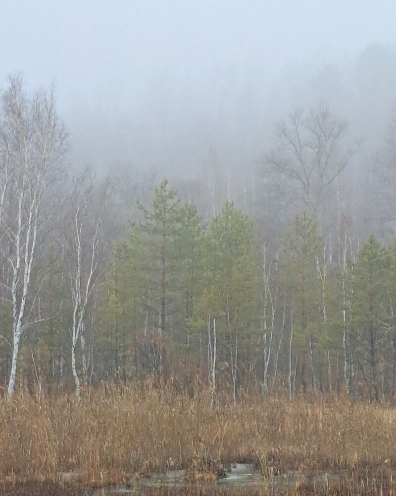 Photograph by Любовь Войтишина