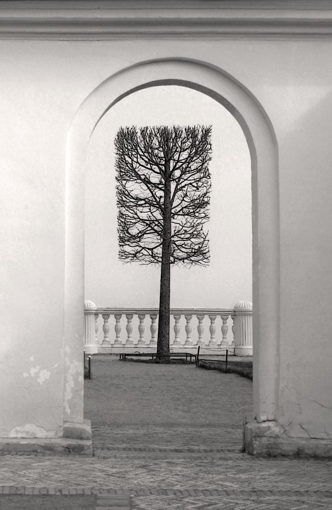 Photograph by Сергей Григорьев