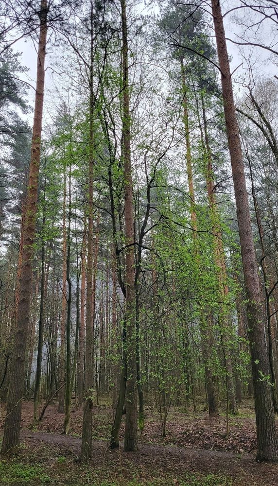 Photograph by Елена Фетисова
