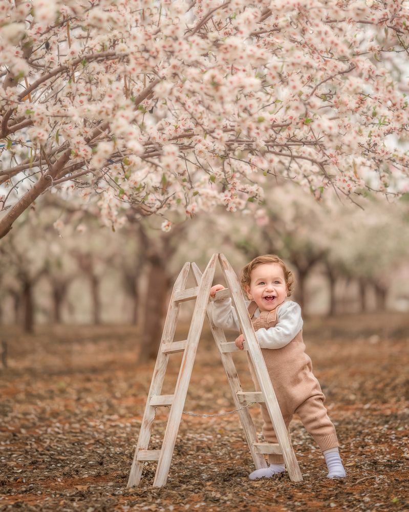 Photograph by מיכל אבנד