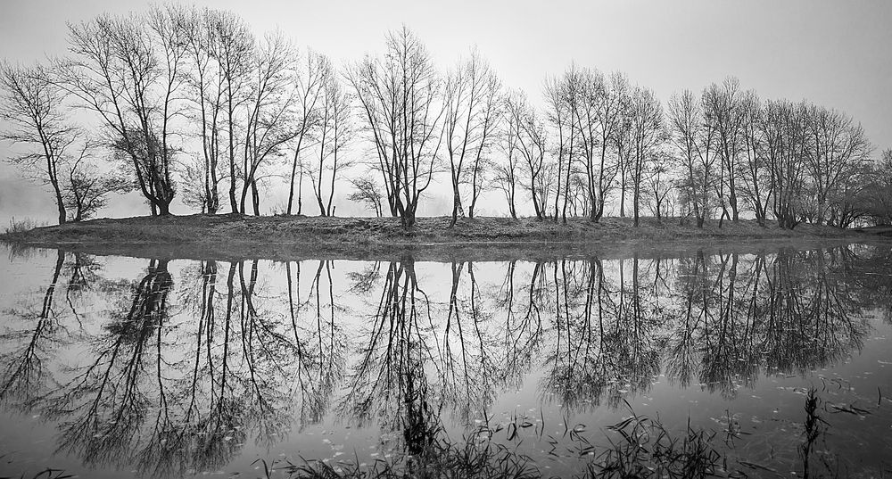 Photograph by ВЛАДИМИР ВОРОБЬЕВ