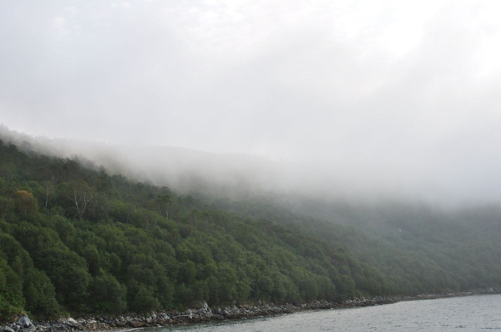 Photograph by Евгений Захаров