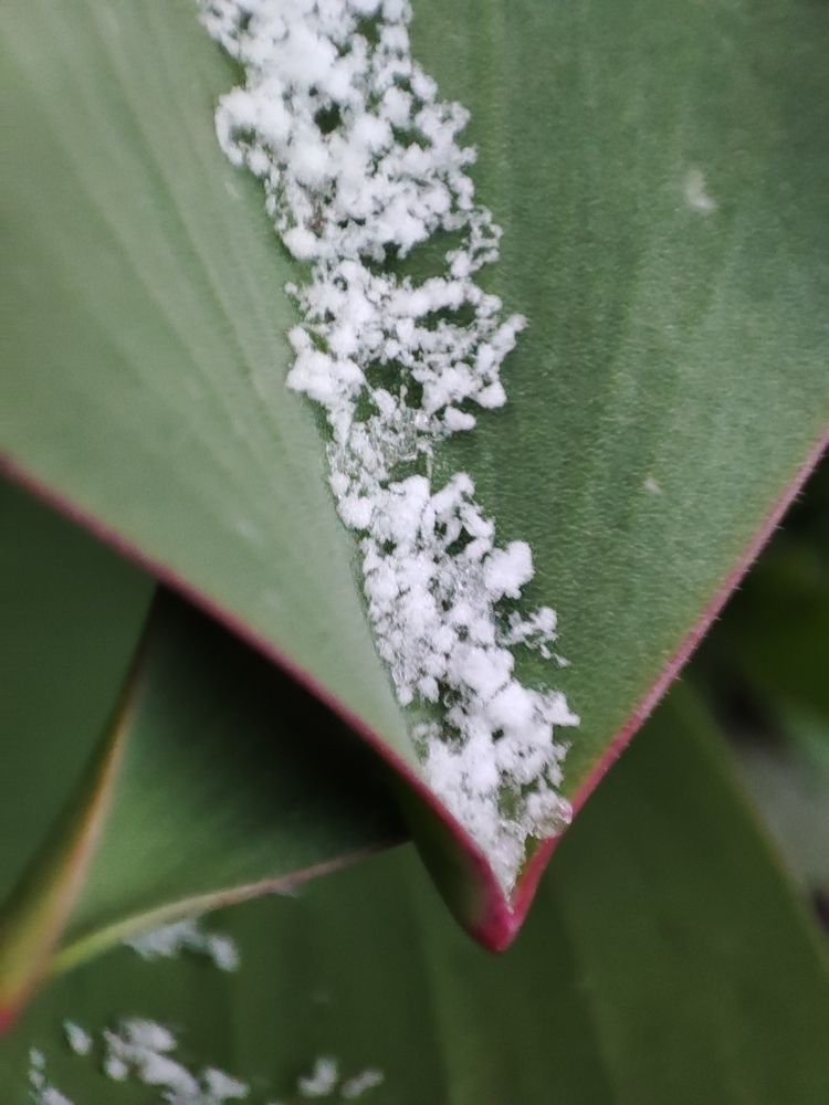 Photograph by Хоменчук Людмила