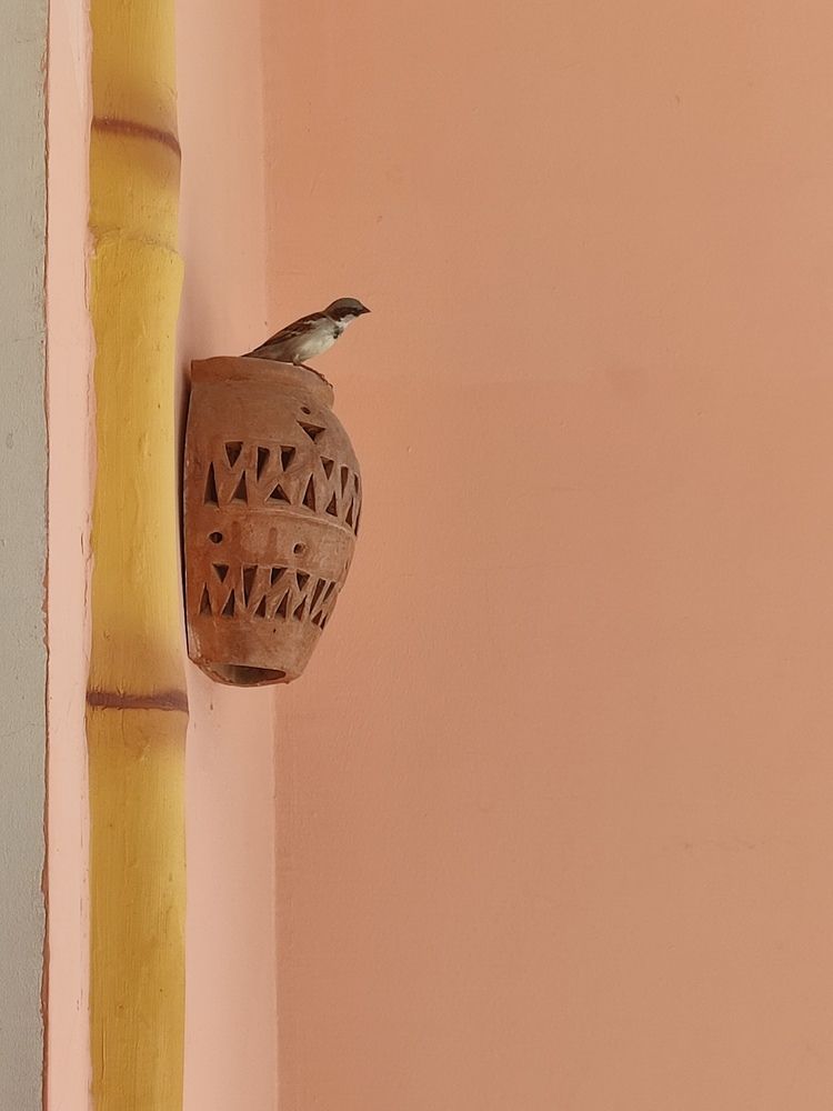 Photograph by Хоменчук Людмила