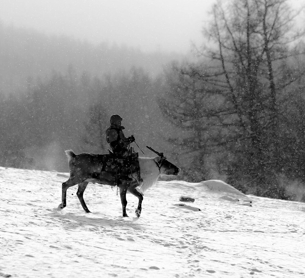 Photograph by Lkhagvasuren Darikhand