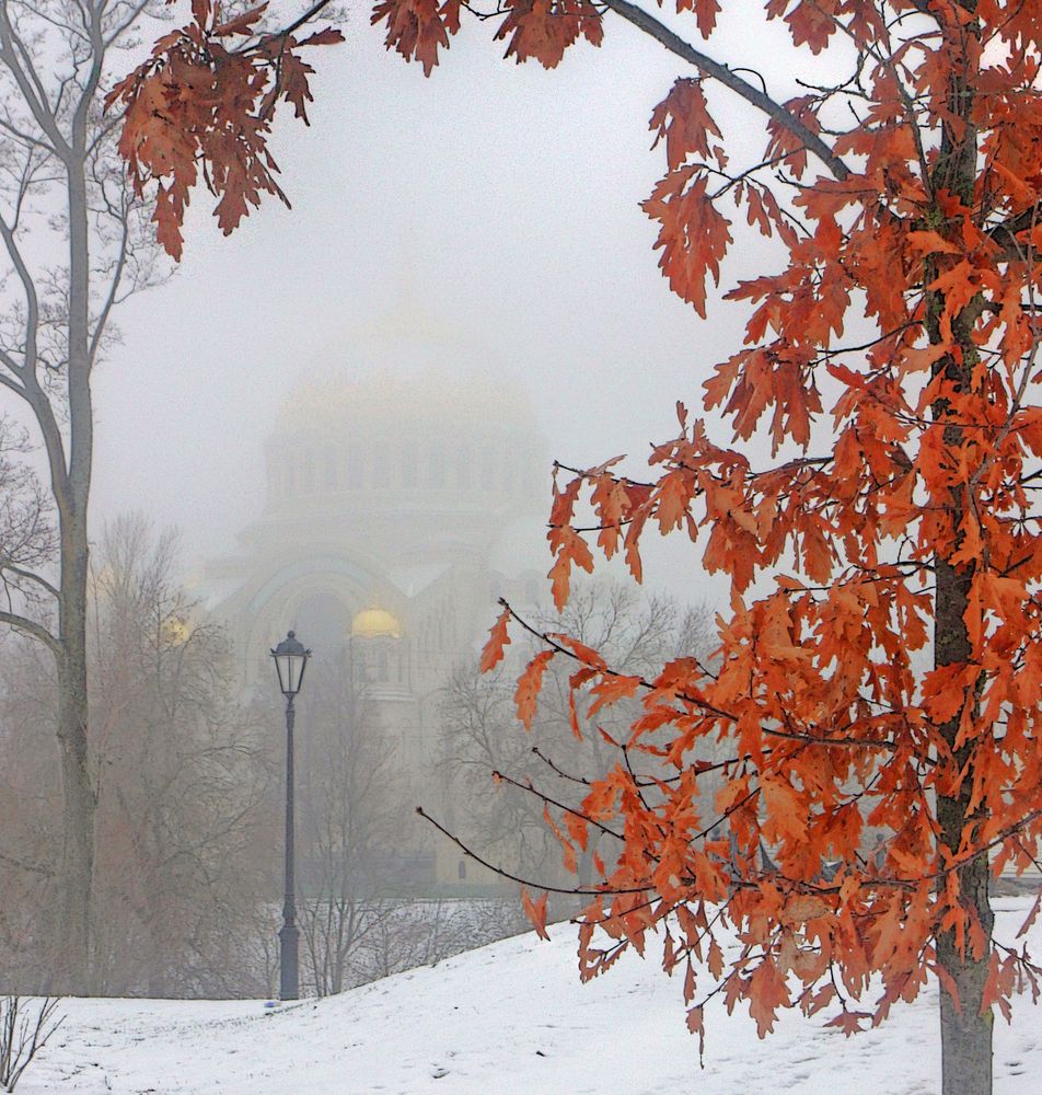 Photograph by Сергей Григорьев