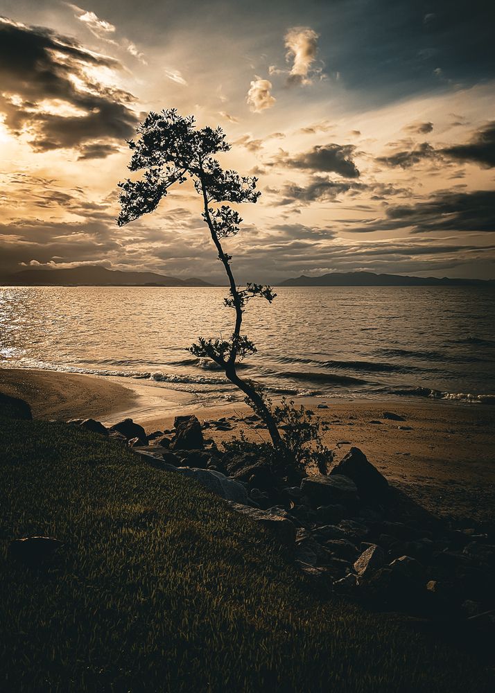 Photograph by LEONARDO VICTOR DE OLIVEIRA