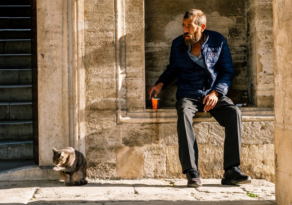 Old Man and Cat on the Street in Istabul, Turky