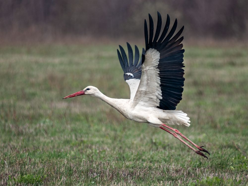 Photograph by Сергей Степанов