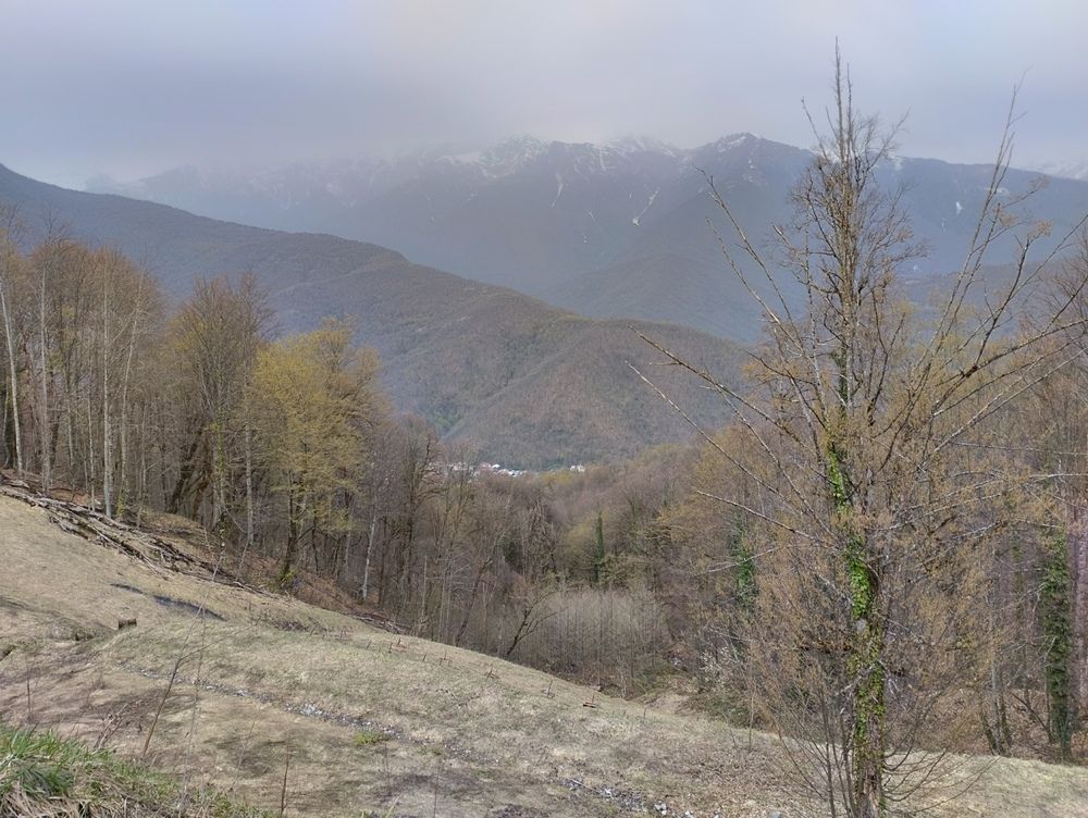 Photograph by Елена Казаренко