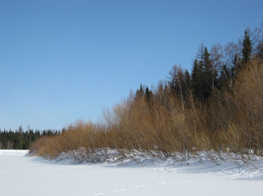 Photograph by геннадий лалаев