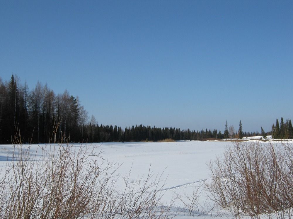 Photograph by геннадий лалаев