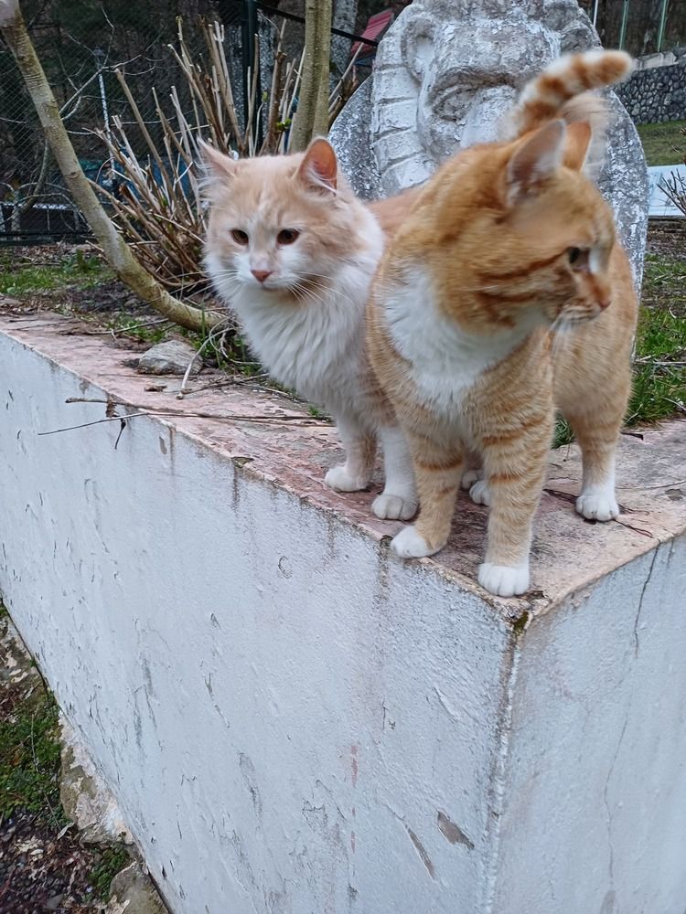 Photograph by Елена Казаренко