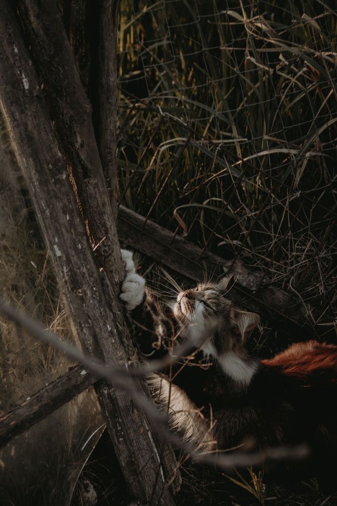 Photograph by Даниил Сырбу