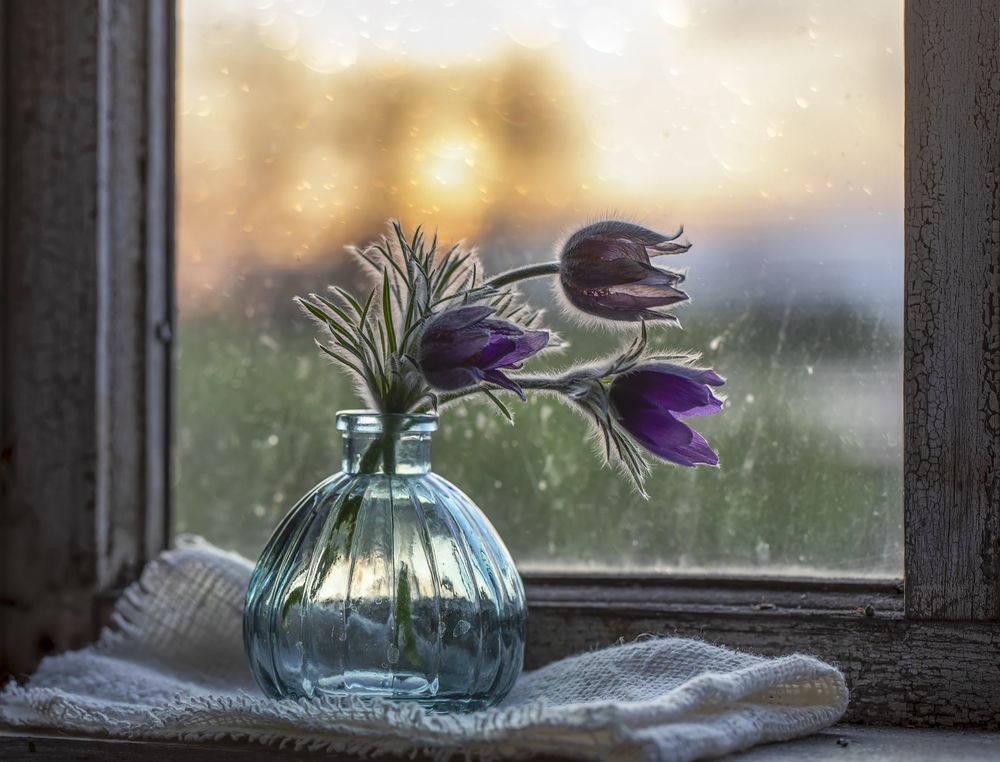 Photograph by Татьяна Феденкова