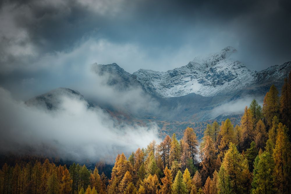 Photograph by Alexey Morkvashentsev