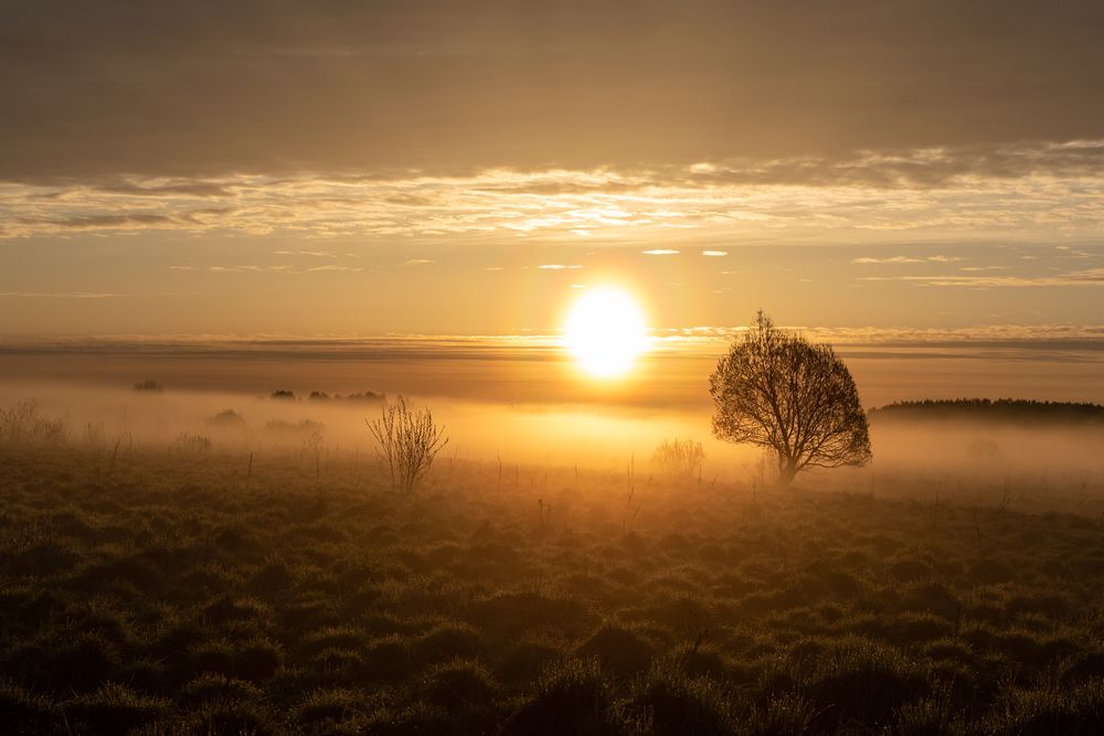 Photograph by Адиля Голубева