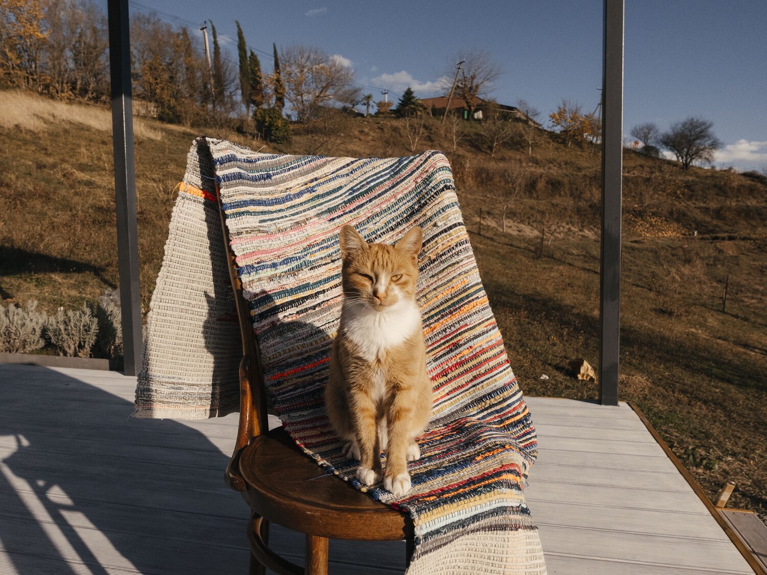 Photo #12152089