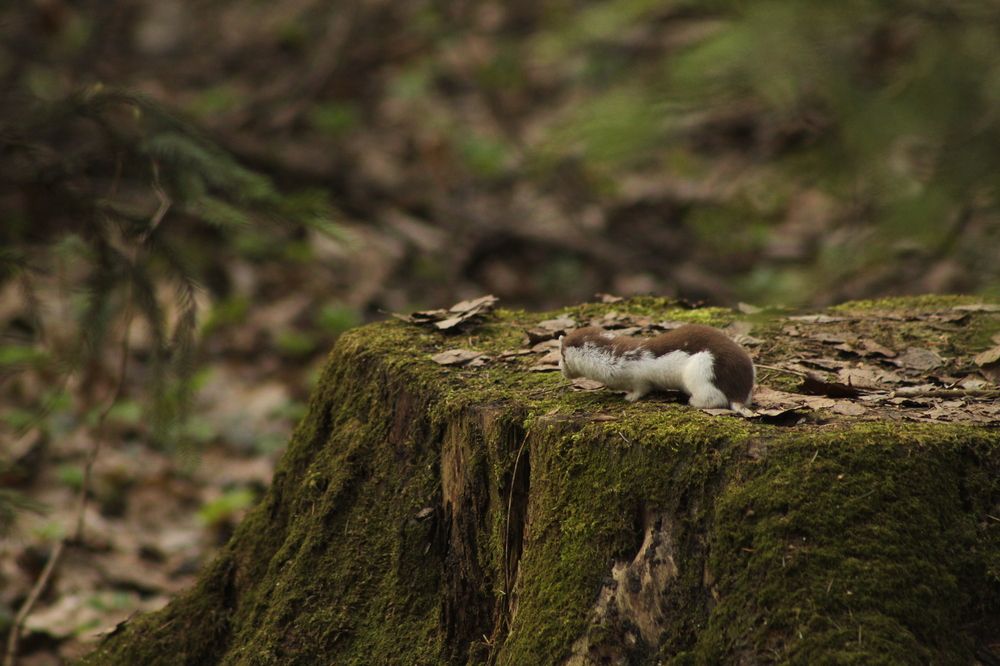Photograph by Илья Беликов