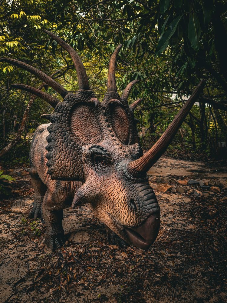 Фотография автора Walfrido Alexandre