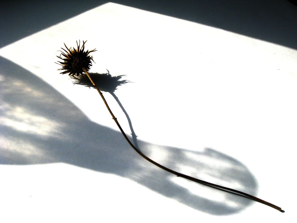 Photograph by Лада Кляузина