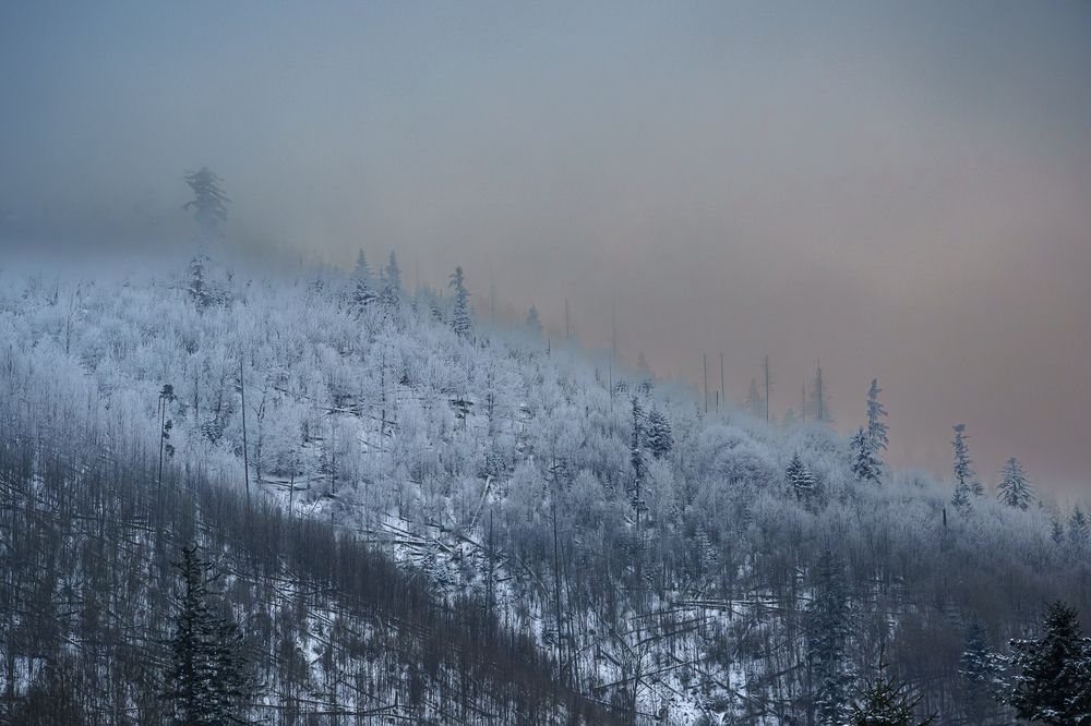 Photograph by Valdis Serzhans