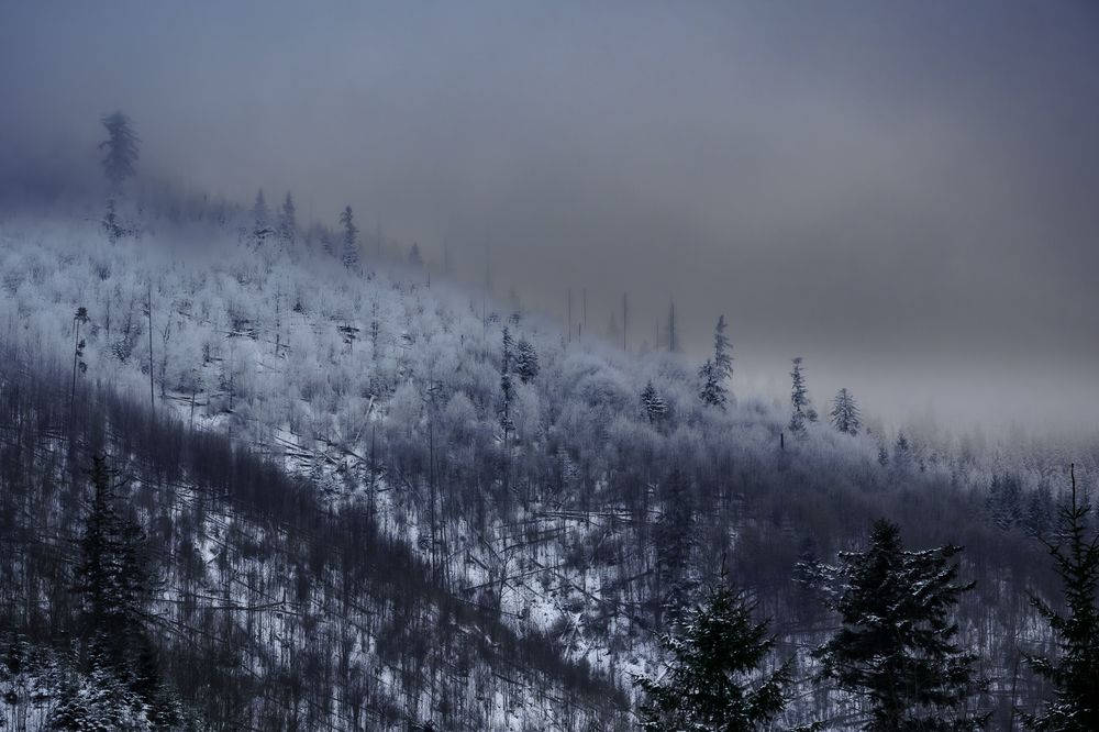 Photograph by Valdis Serzhans