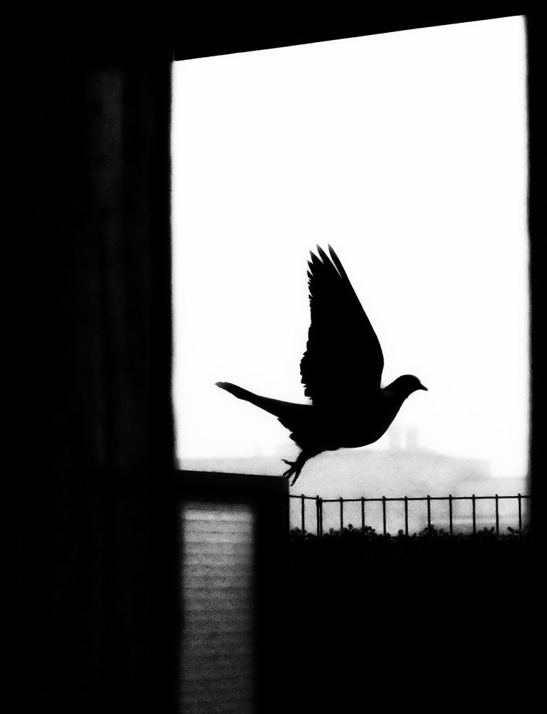 Photograph by Stella Szpinek