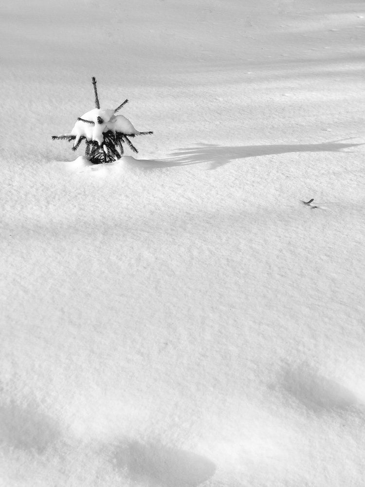 Winter minimal