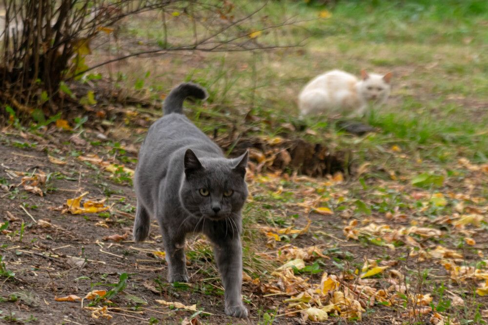 Photograph by Михаил Костыря