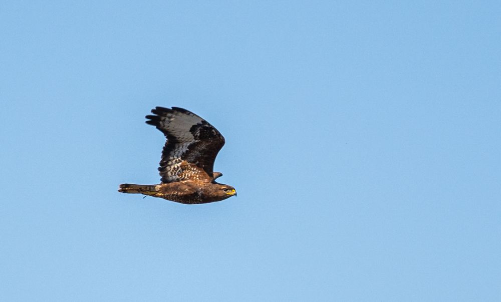 Photograph by Владимир Коновалов