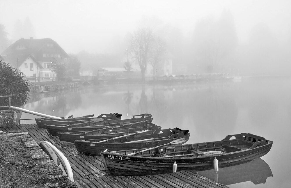 Photograph by Boris Bekelman