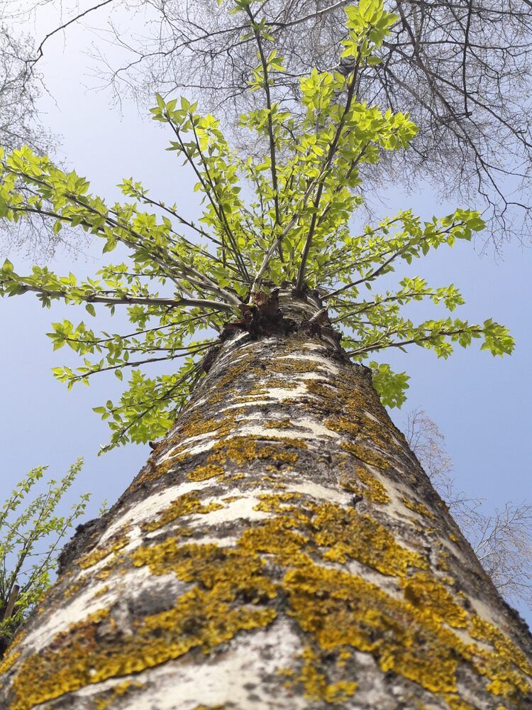 Photograph by Даниил