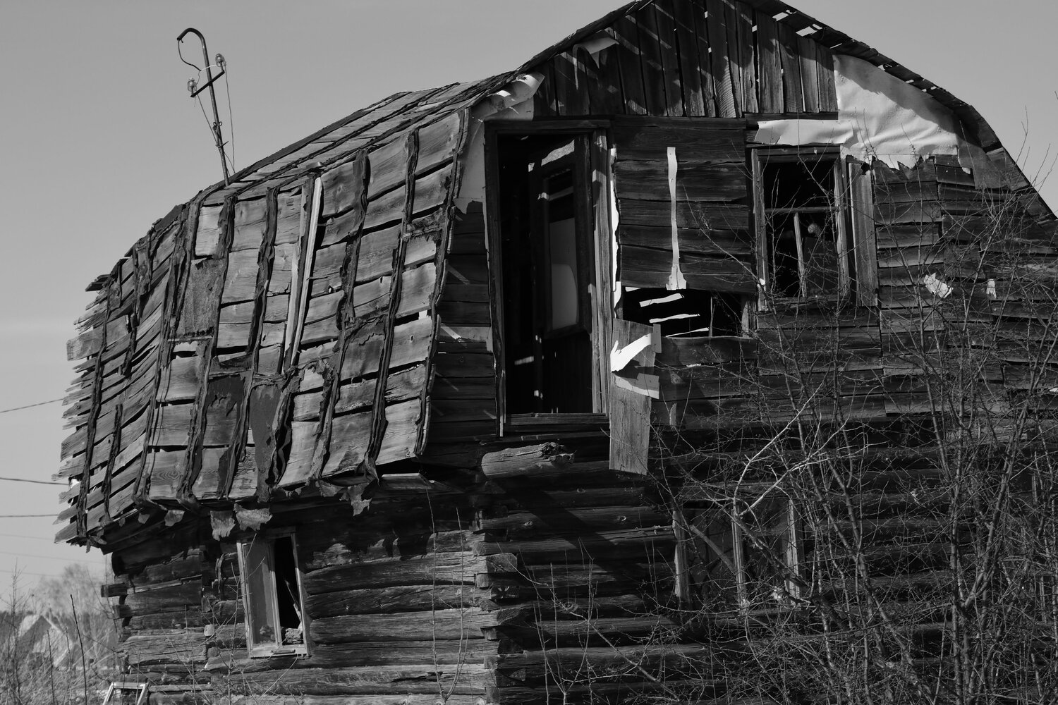 Photo #12153523
