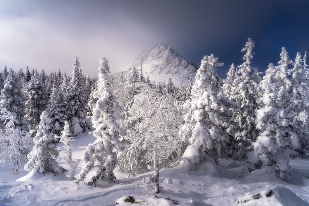 Photograph by Межин Сергей