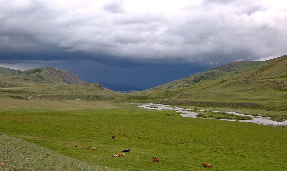 Photograph by Алексей Хазов