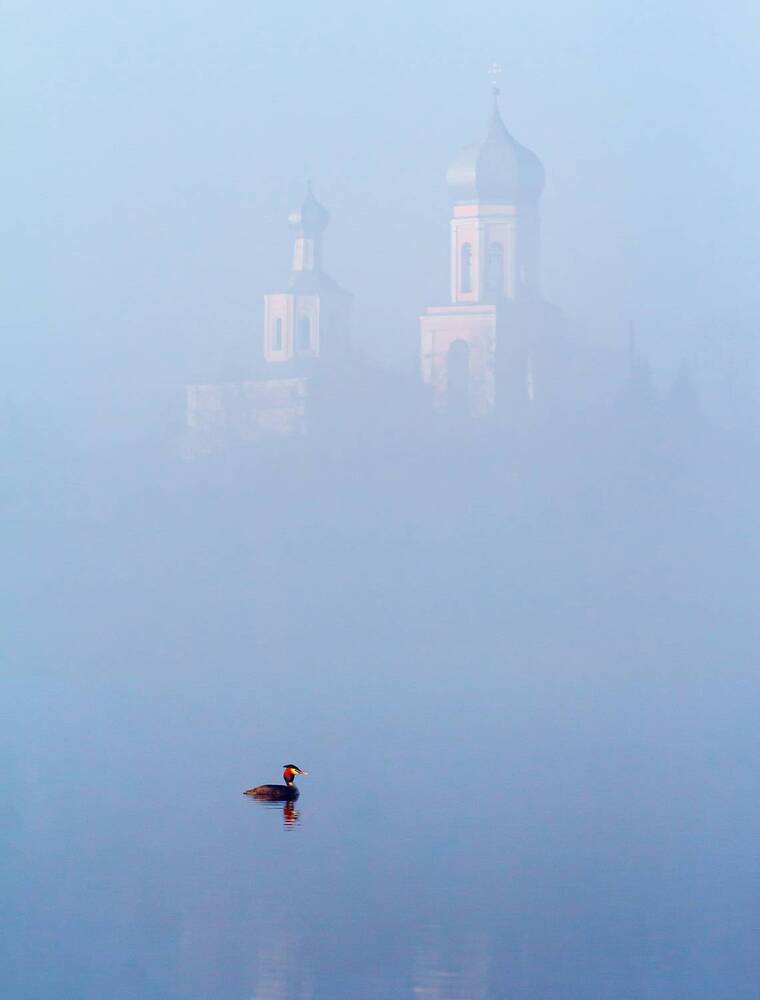 Photograph by Тимофей Шутов