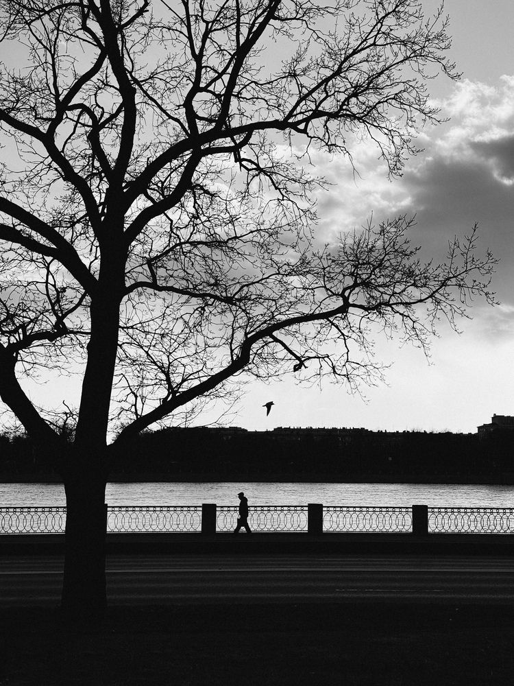 Photograph by Алиса Нежинская