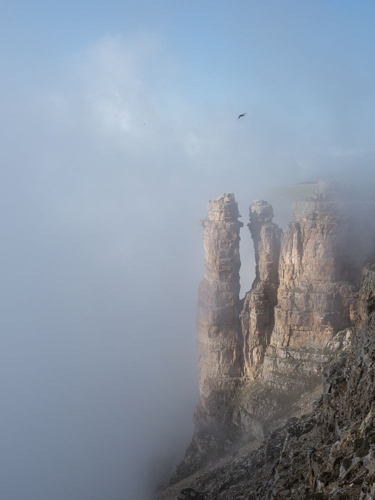 Photograph by tamsha