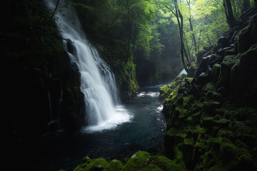 Photograph by Sekioka Hiroaki