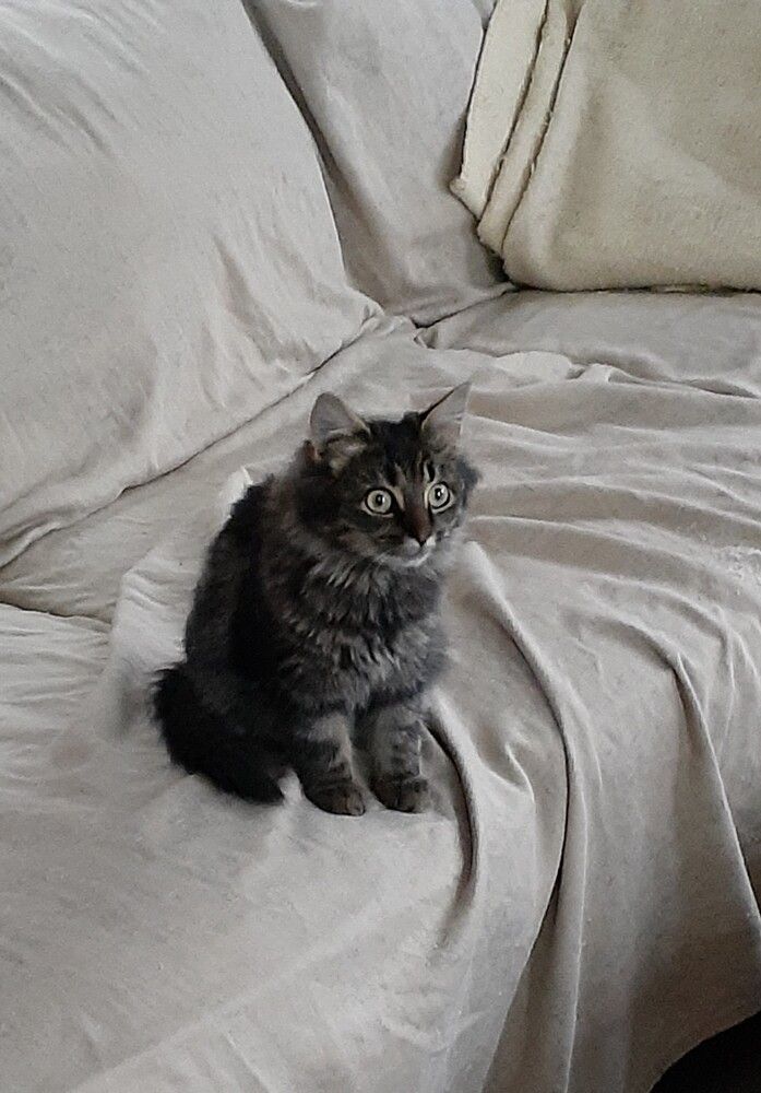 Photograph by Dennise Treijs