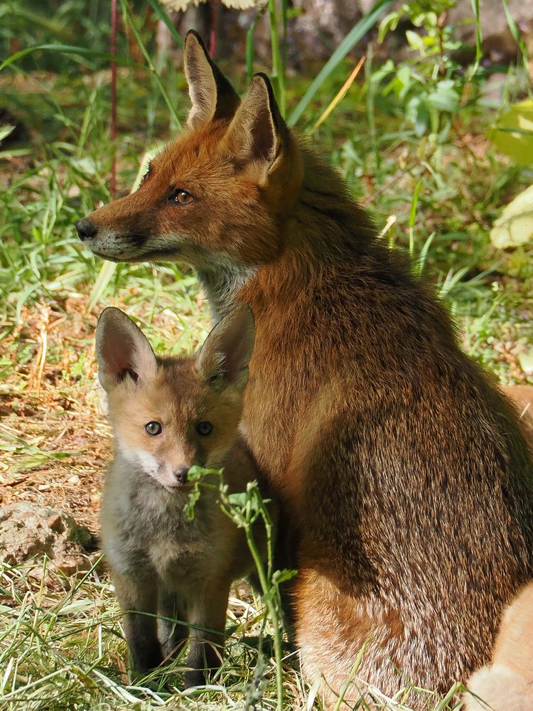Photograph by Георгий Акопджанов