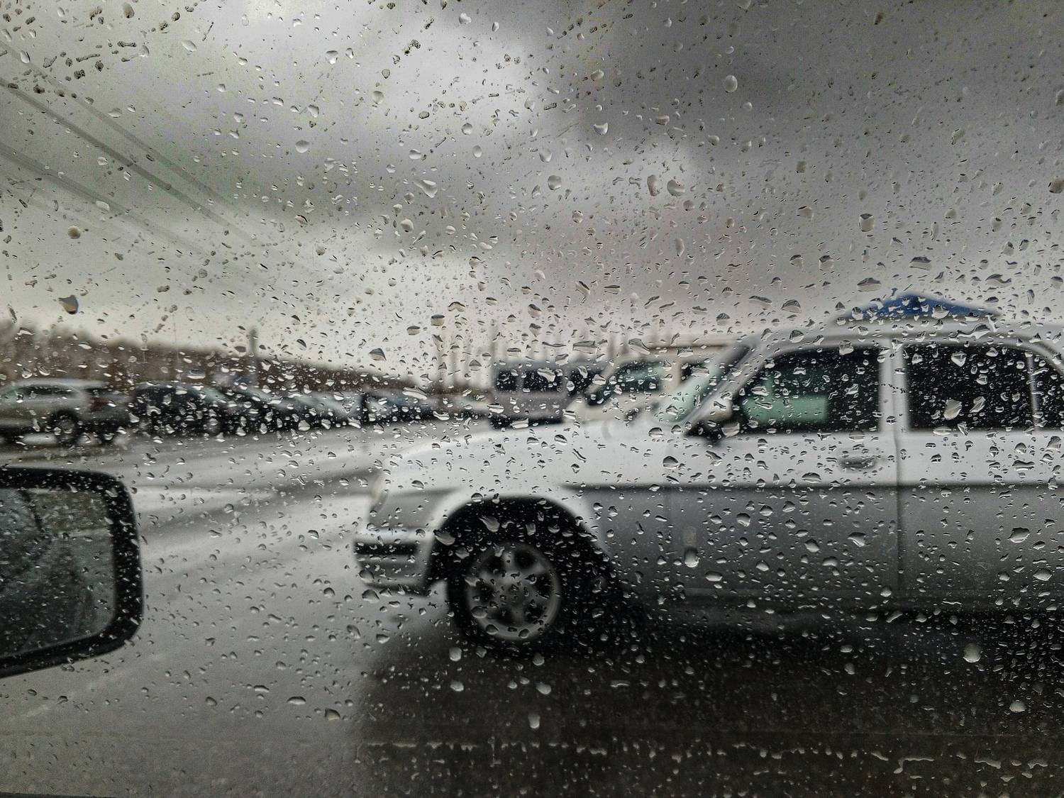 Photo #12154576