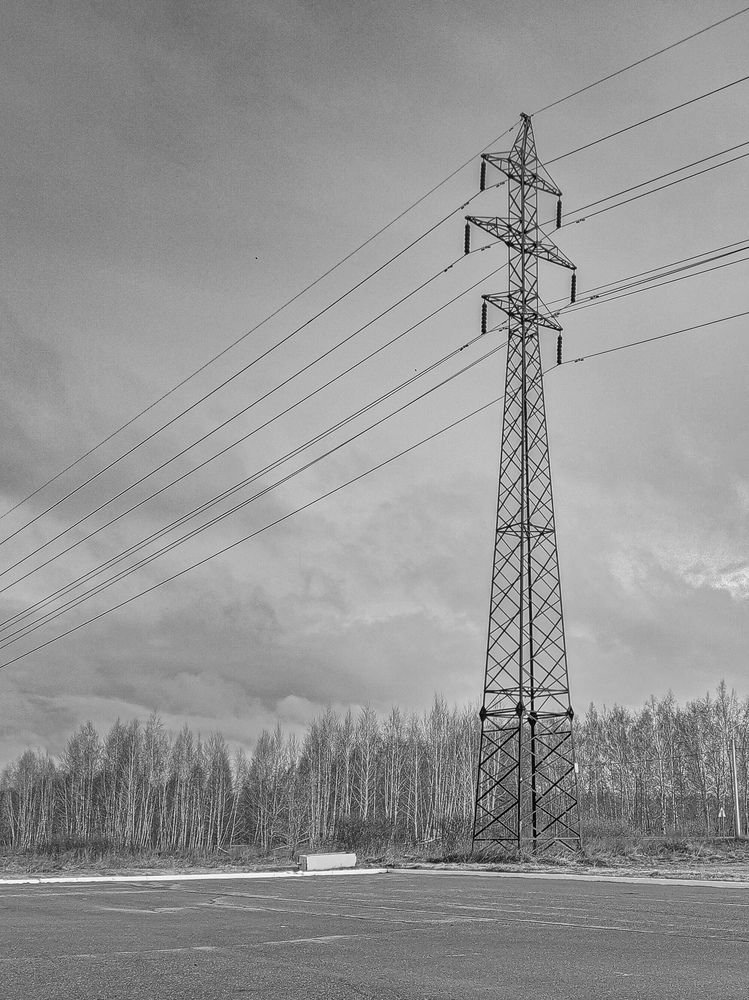 Photo #12154587