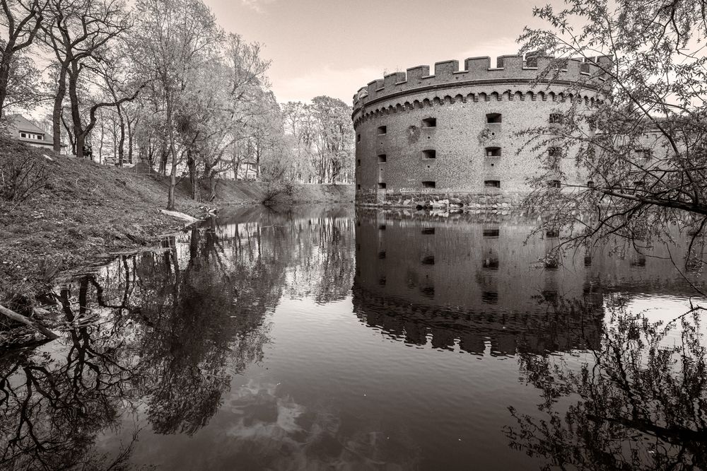 Фотография автора Борунов Константин