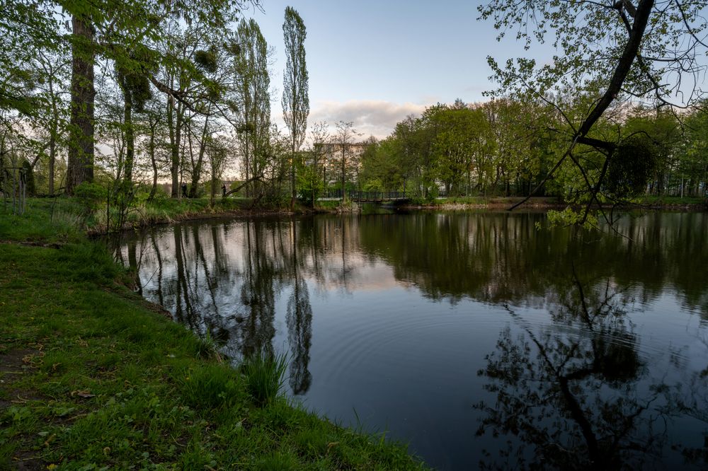 Photograph by Константин Борунов