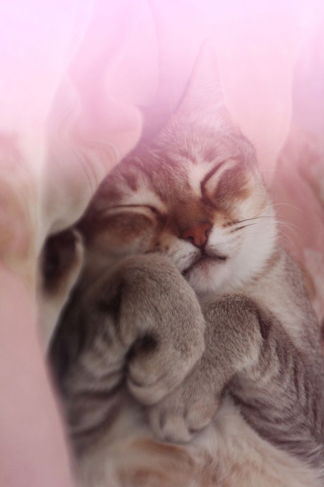 Photograph by Оксана Ботвина